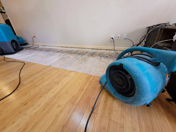 Professional Sewage Cleanup technician working in Peshtigo, WI